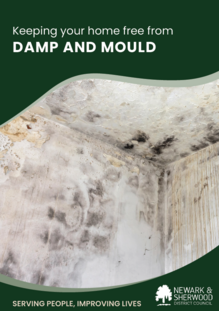 Damp and Mould booklet
