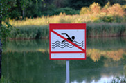 swimming