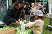 sherwood forest woodland festival 