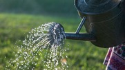 Save water