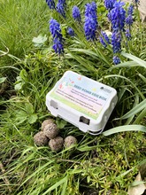 seed balls 