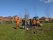 Tree Planting at Swan Way