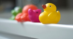 Plastic duck