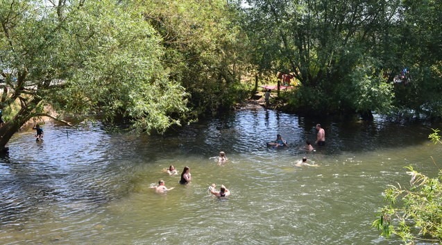 People swimming in the river