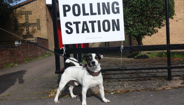 Small white dog with brown/black spots stands under a sign that reads 'Polling Station'
