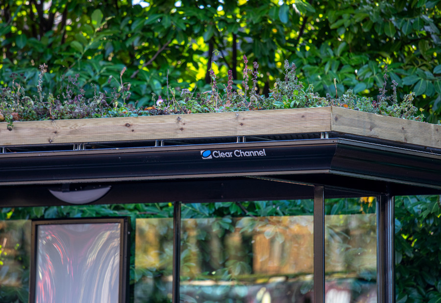 Green bus stop roof 