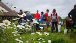 Big Green Week 2017