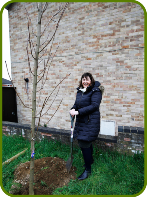 Leader of the Council, Susan Brown, planting a tree 