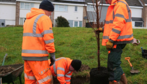 2nd. Climate second story. Tree planting. 16 Feb