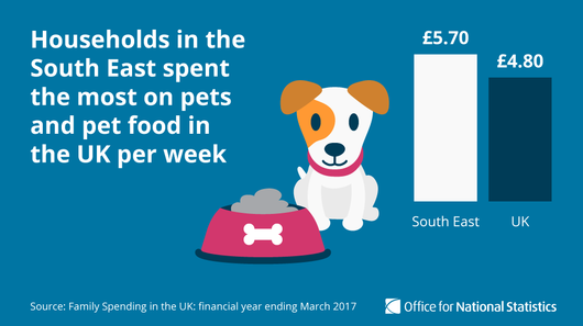 Promotional image for spend on pets