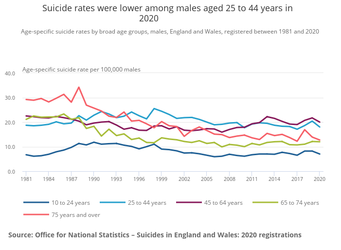 Suicide rates were lower among males aged 25 to 44 years in 2020