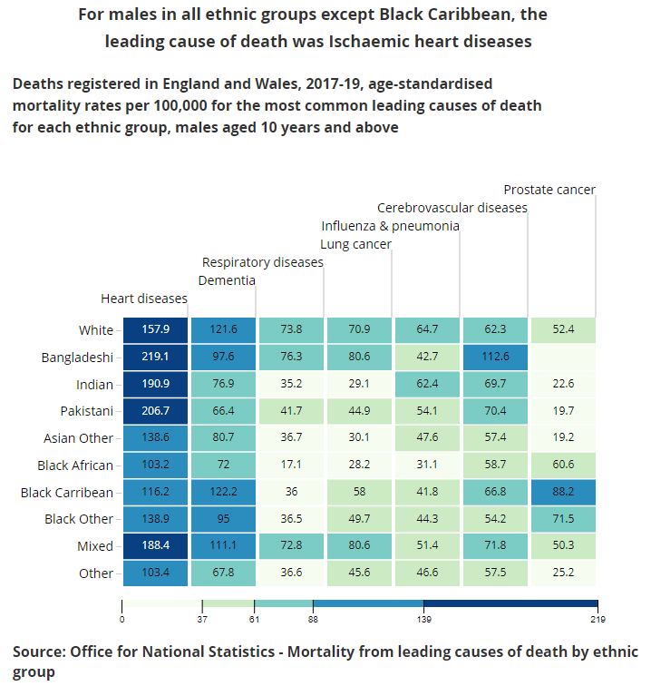 For males _in all ethnic groups except Black Caribbean, the leading cause of death was Ischaemic heart diseases