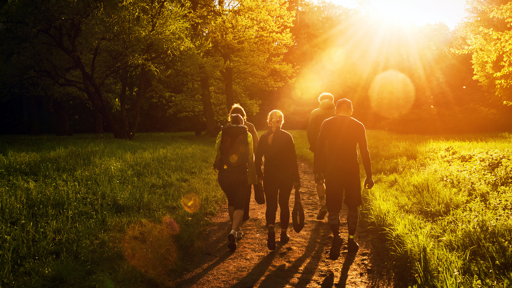 Image of a group walking into a forest - it is evening time and the sun is setting