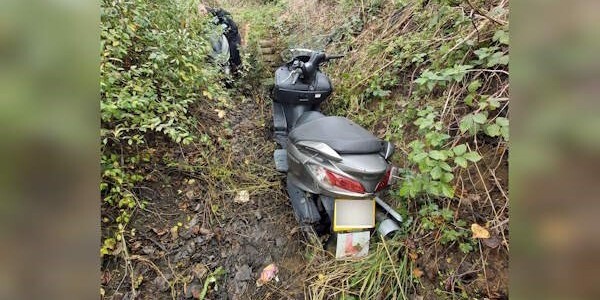 Moped in undergrowth