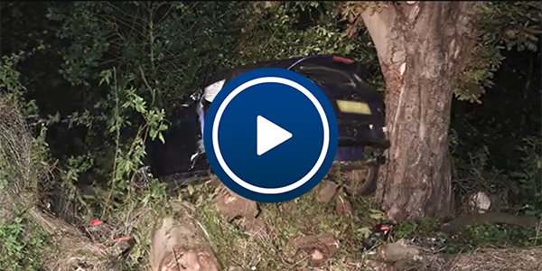 Car crashed into tree. click to play video.