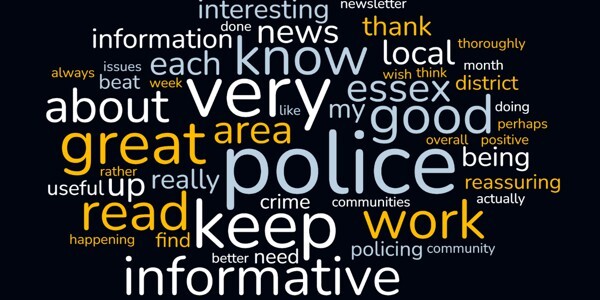 Graphic showing words most frequently used in our user survey - 'interesting', 'great', 'informative', 'good'.
