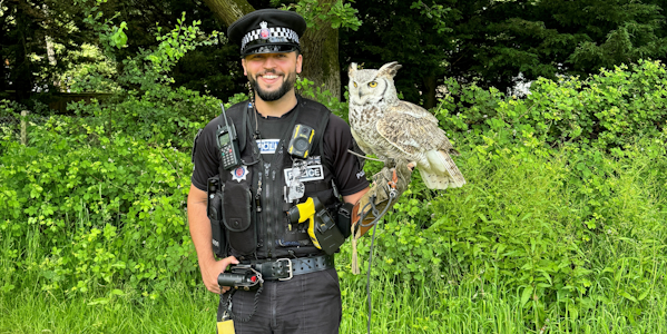 PC holding owl