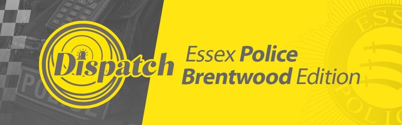 Dispatch - Essex Police in Brentwood Edition
