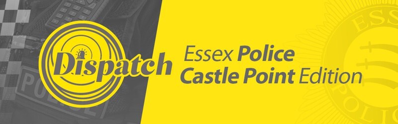 Dispatch - Castle Point Edition - issue 82