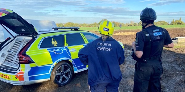 Officers look out to a field of horses
