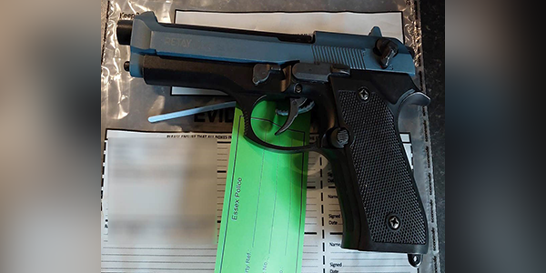 gun found during warrant