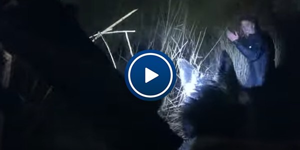 Video: Police Dog Kaiser and his handler catch up with a dangerous driver