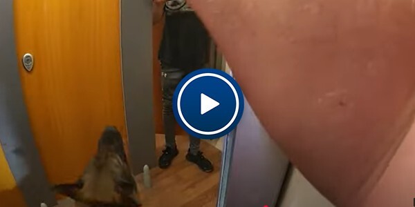 VIDEO - Watch PD Lando on You Tube