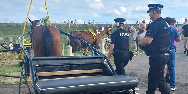 Two officers next to a pony and trap