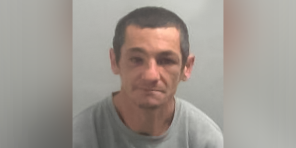 Ciprian Ilie custody photo