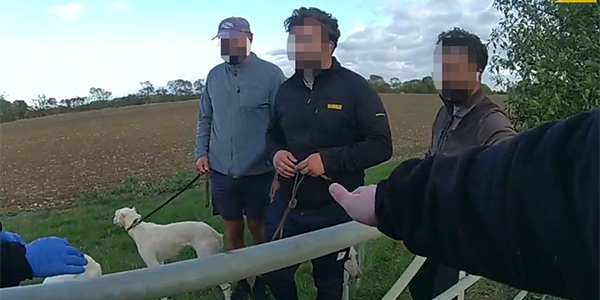 Three people caught hare coursing by police