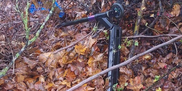 Black scooter in woodland area