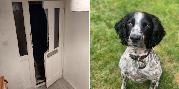Image of Door and PD Oreo