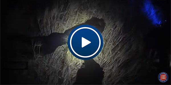 colchester knife attack arrest video