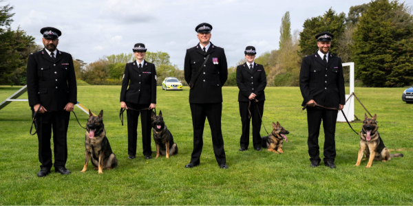 Newly trained police dogs and their handlers 