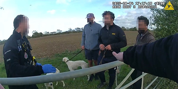 Officers apprehend three hare coursing suspects