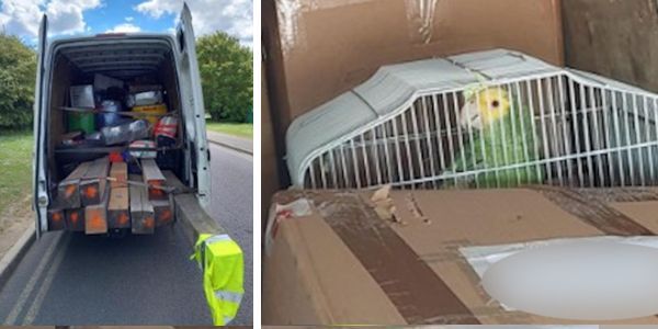 Photo of lorry with rear doors open showing dangerous load and a close-up photo of a parrot in a cage