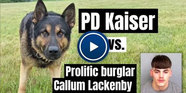 Video: Police dog Kaiser chases prolific burglar Callum Lackenby