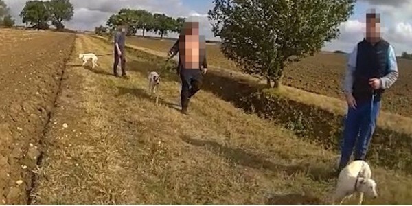 Body worn video image of three people walking dogs in a field