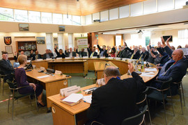 Council Meeting