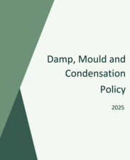 damp mould