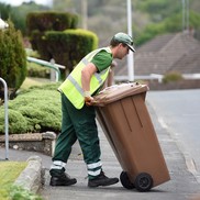 Bin collection