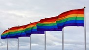 Rainbow flags