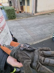 Burnt laptop battery