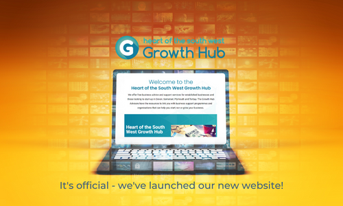 Growth Hub website