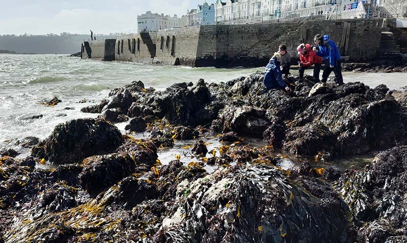 Exploring national marine park wildlife