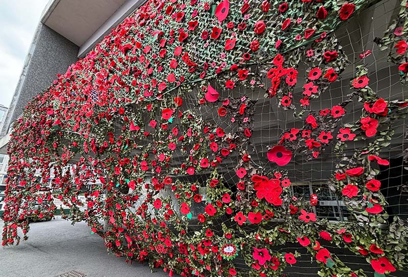 poppy display at the Council House