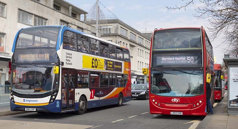 two buses in Royal Parade