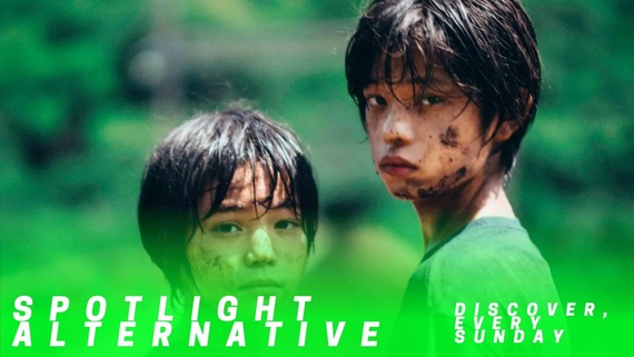 Spotlight Alternative