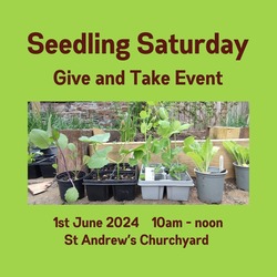 Seedling Saturday