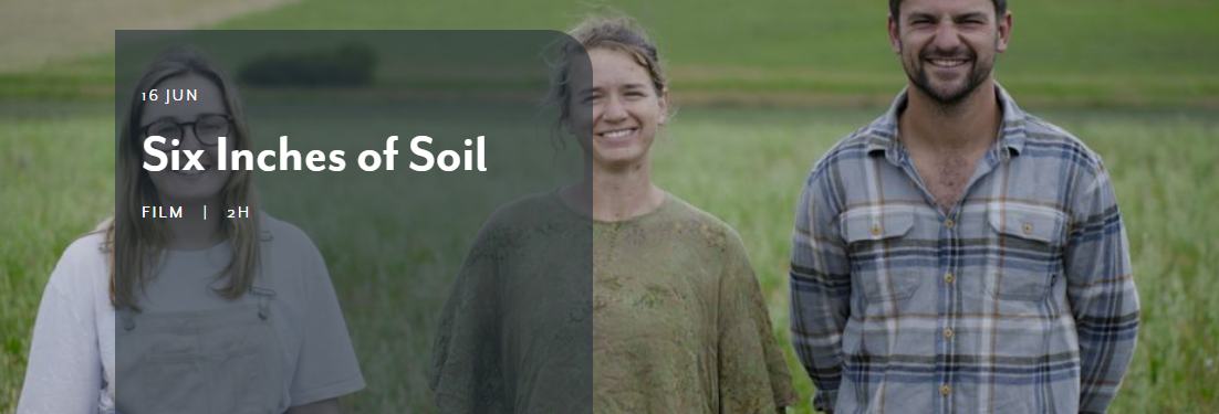 6 inches of soil - rheged